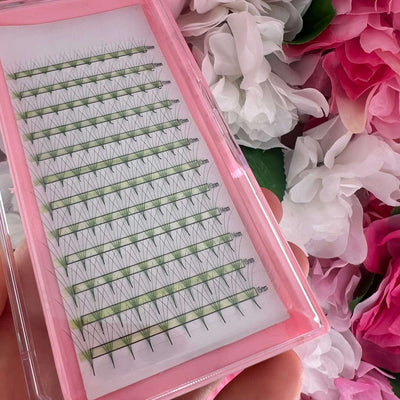 Green ombre eyelash extensions in a pink case, featuring a natural look for seamless application. Ideal for beauty enthusiasts.