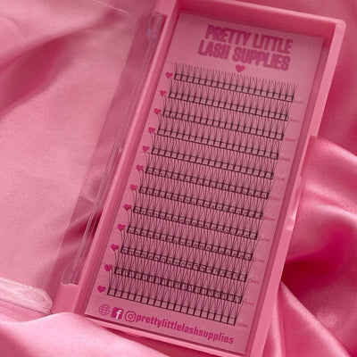 Whispy pre-made eyelash extensions in black, displayed in a pink palette, perfect for professional use.