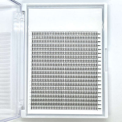 Classic black eyelash extensions in various lengths (8mm-15mm), neatly organized in a clear storage case.